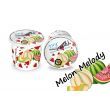 Ice Frutz Melon Melody