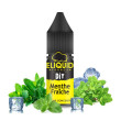 Concentré Menthe ELiquid France 10ml